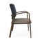 Lesro Newport Bariatric Chair Metal Frame, Bronze, RS Night Sky Back, MD Farro Seat NP1401 - alternate 2